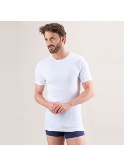 SV 308 T.SHIRT col rond Eminence pur coton EMINENCE