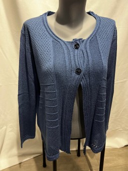 GILET 2 BOUTONS BLEU 478 The Style