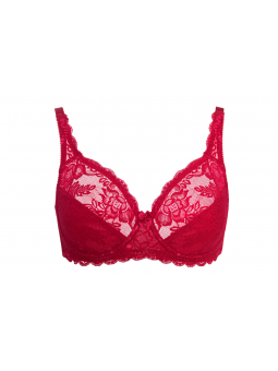 Soutient gorge dentelle DELPHINE 612